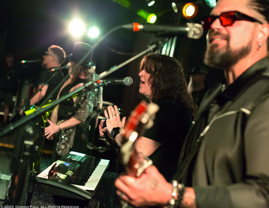 An Evening with Stevie from 2025
