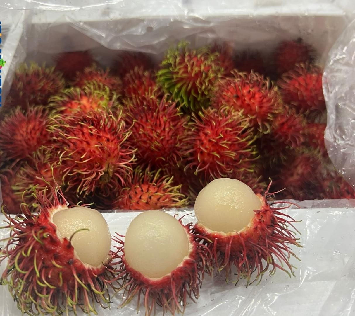 Rambutan
