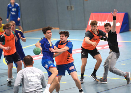 Training Stiere 28.jpg