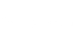 sternauto.png