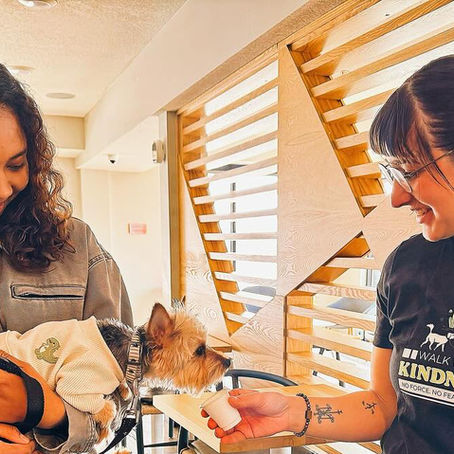 Keep Thanksgiving Stress-Free for Your Pets with Fear Free Care