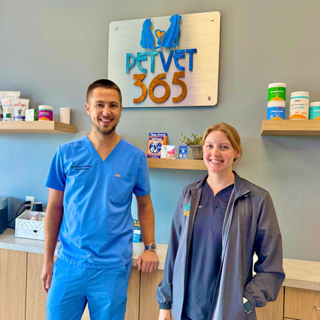 Celebrating National Veterinary Technician Week with PetVet365