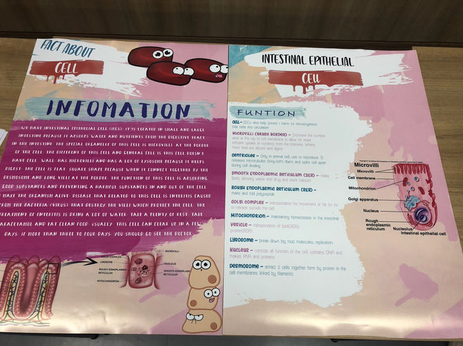 Cell Project