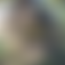 Maison japonaise dans un style aquarelle, fantaisie et origninalité