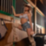 Thumbnail: Fleshlight Girls Emma Hix Syrup Vagina Pussy Bacon Butt Texture Masturbator