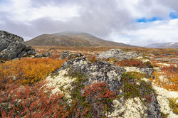 Norwegen_zB_2022_Sept_00002