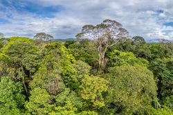 Costa Rica_2026_April_08832-Pano