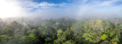 Costa Rica_2026_April_08278-Pano