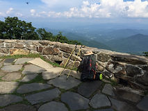 IMG_2926.jpeg