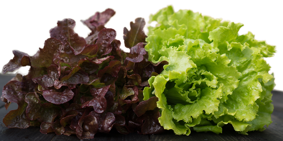 La huerta de la Mari-Productos ecológicos