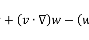 Vorticity dynamics