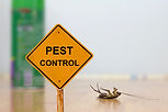 Dead cockroach on floor with caution sig