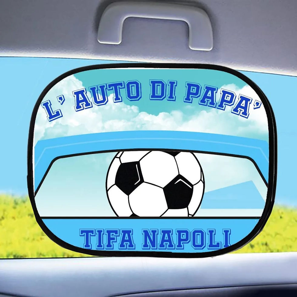 Miniatura: Parasole laterale auto