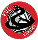 FVC VIPERS FINISHED NO GLITCH FIXED.png