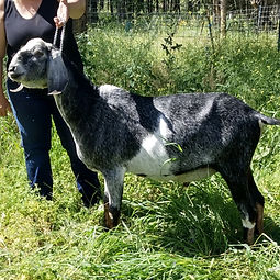 Archie 2022_edited.jpg