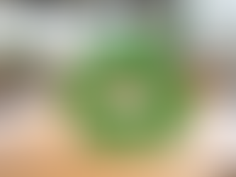 Beyond Buzzwords: Real Sustainability in the Global South