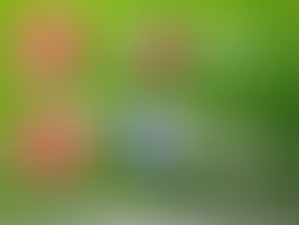 //Frauen - Rundenstart 2017/2018//