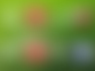 //Spielbericht Frauen VfB vs. SG Au-Wittnau 1:0//