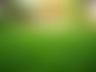 Seasonal Lawn Care Guide: What to Know