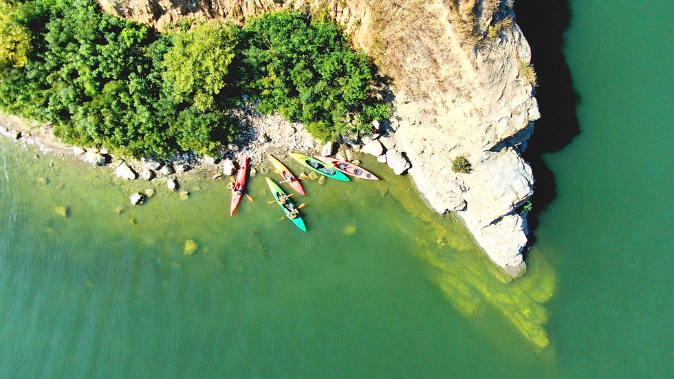 Kayaks from Above_edited.jpg