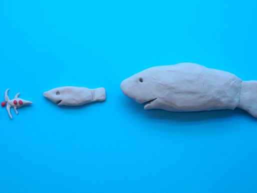 OMNI Microplastics Newsletter #1