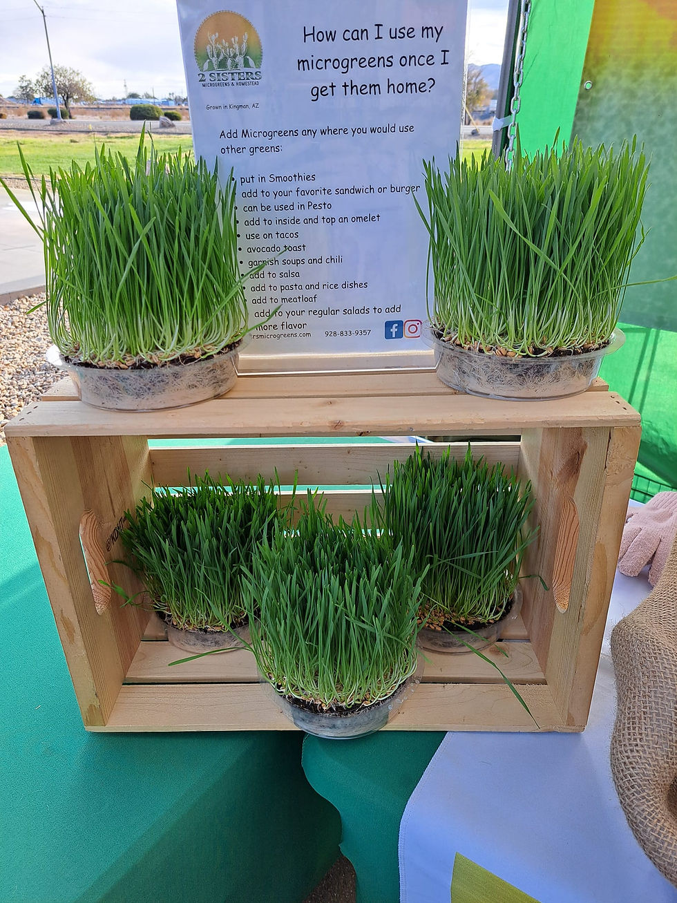 Thumbnail: Microgreens
