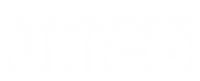 UNICO logo – Universal Frequency Comb project on compact WDM laser technologies