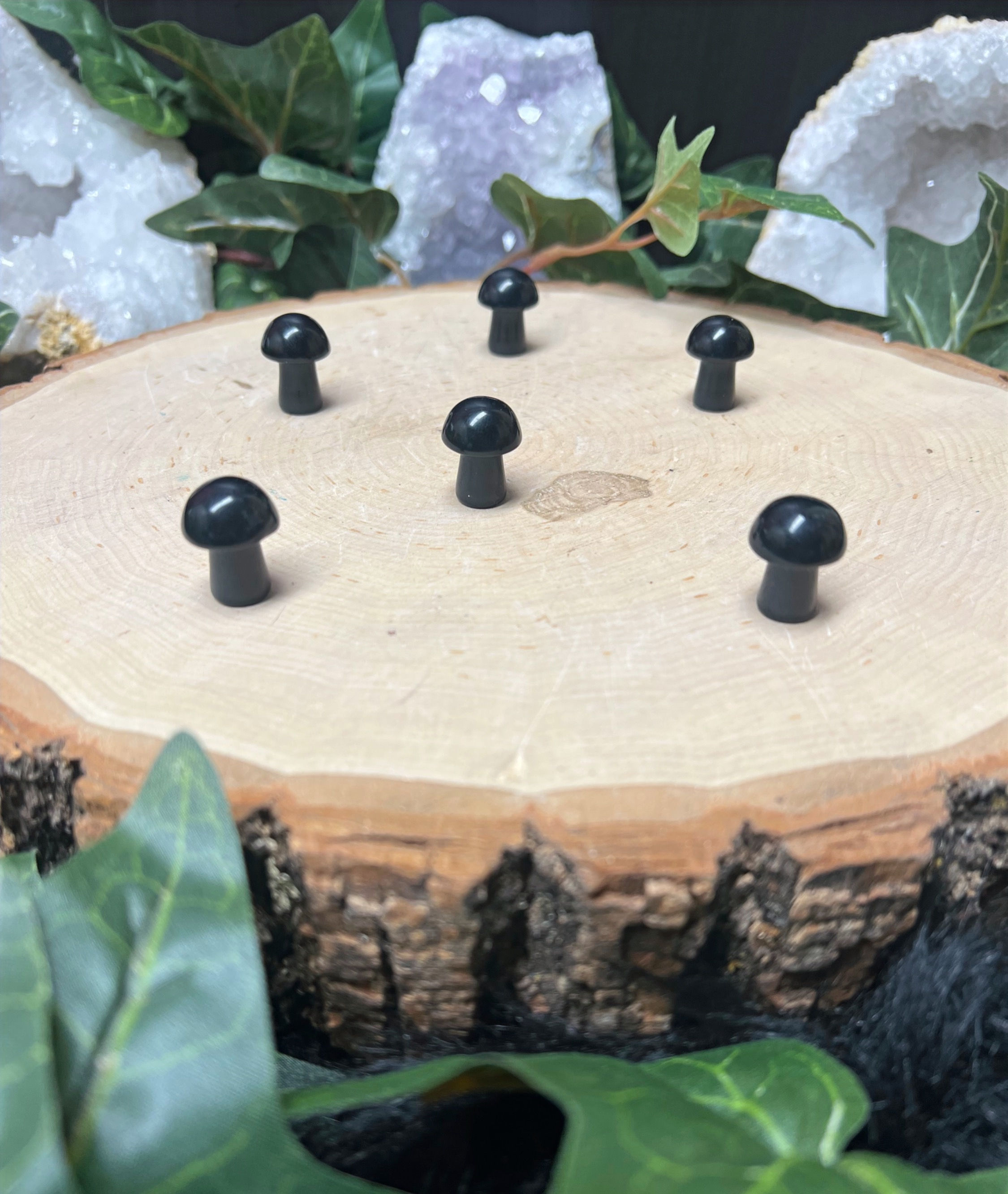 Black Obsidian Mini Mushroom