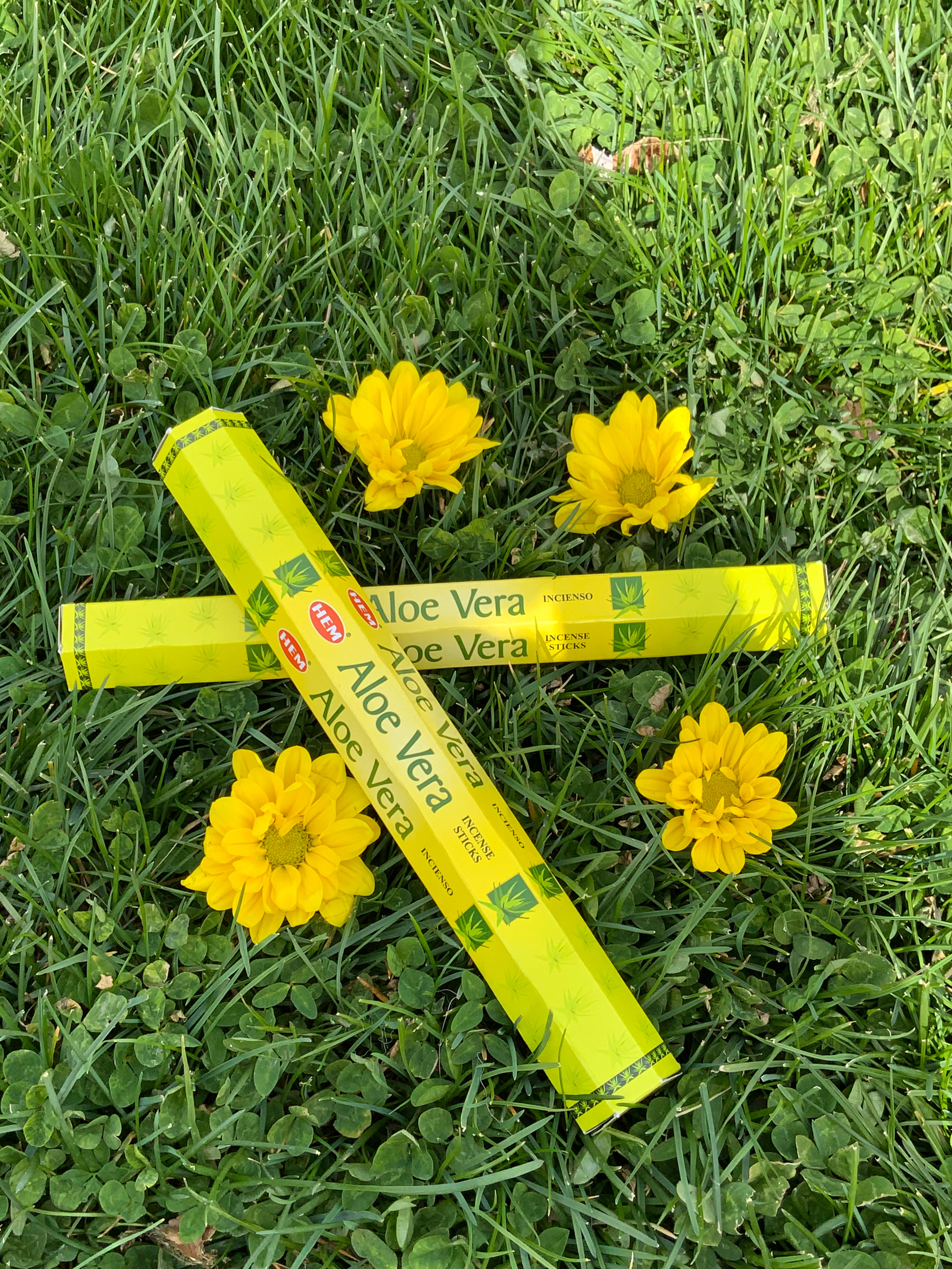 Hem Aloe Vera Incense