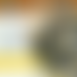 Boom or Bust: The Senators' Best and Worst Examples of Player Development