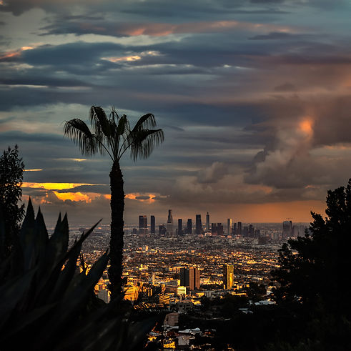 beverly hills view at night.jpg