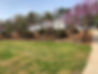 IMG_0993.jpeg