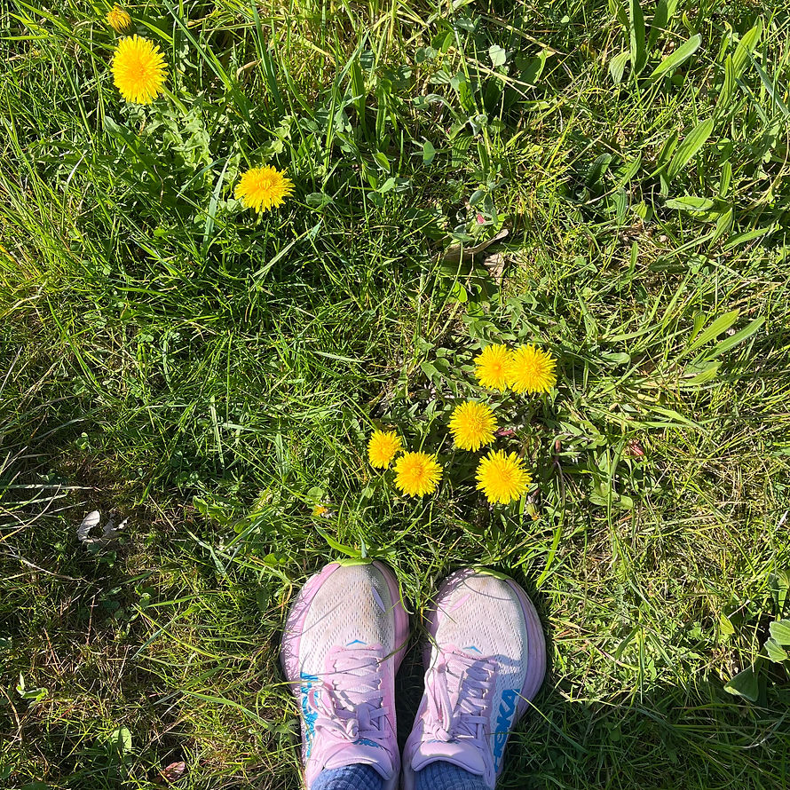 IMG_1996.jpeg