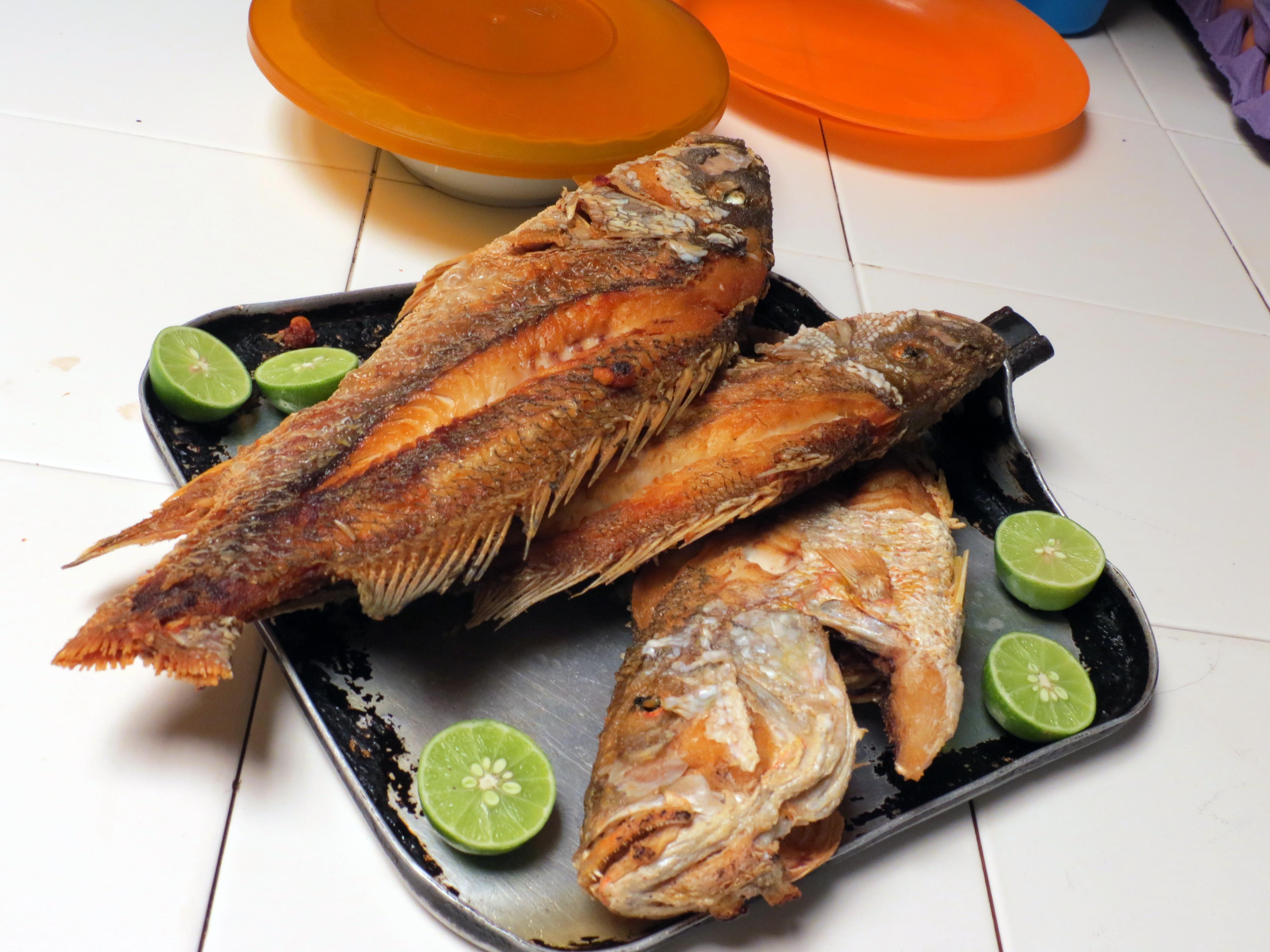 Vista del restaurante