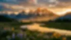 Snow-capped Teton peaks at golden hour overlooking Driggs Idaho valley with wildflowers and river