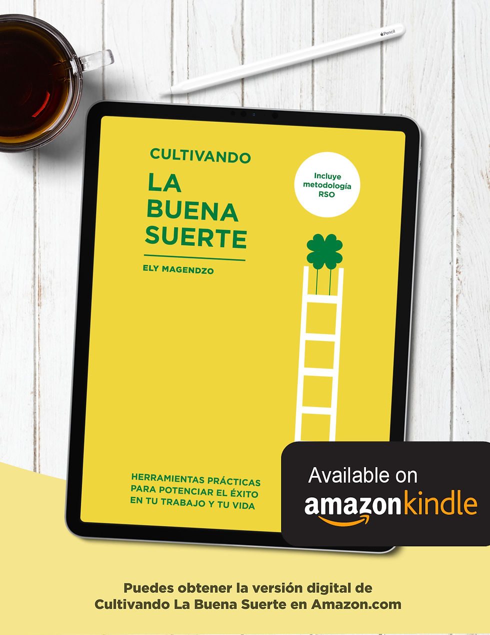Ebook (Amazon)