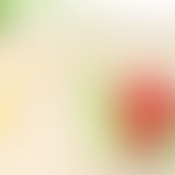 집을 잘 찾는 방법 - 2.