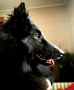 IMG_3465_edited.jpg