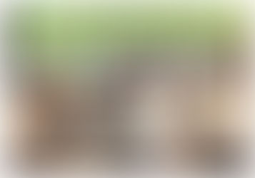 חוות החופש, מה קורה כשאני מבקשת תרומה ו...