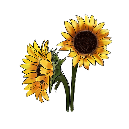 digital drawing of sunflower