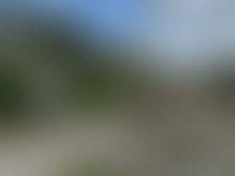 Sommerferien in unserer Tagesgruppe – spannende Ausflüge, neue Erfahrungen und viel Gemeinschaft