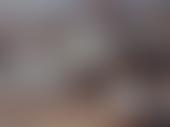 A New Year, Our First Operational Trip, “Know All” Investees