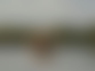 Wishing Life to Move Faster, Accusations of Vandalism and Turbulent Investment Times