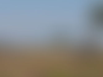 Practicality, Some Army Reflections and Iringa