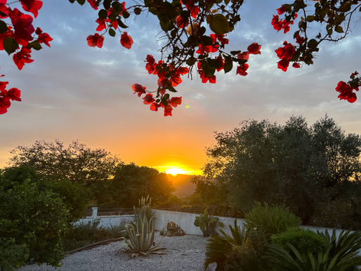 On the Mend and A*******s. Start of My Role as CFU (Commercial Farmers Union) Vice President.