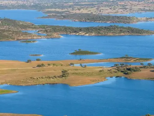 Get Around the Table. Plantation Crops. Piss Cat of the Year.