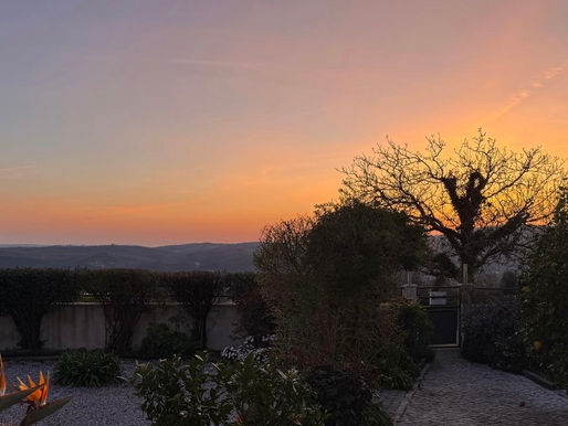 Thanks, Agril Africa Universal Leaf Africa (ULA), Chicanery Nature Comes to Light.