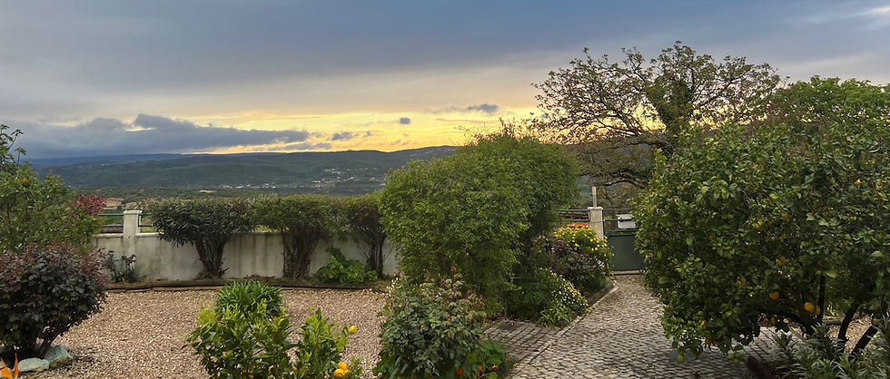 Brooding skies but only a few millimetres of rain. Turning on the irrigation is expensive here.