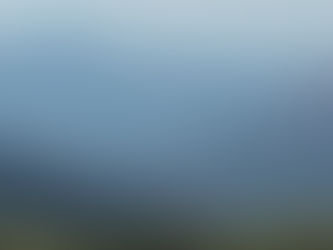 HH Wins, Confusing Covid Test Results in Zimbabwe, My Sister's Wedding and The Importance of Title