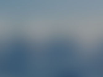 Image Over Substance, Bush Life and Pineapples